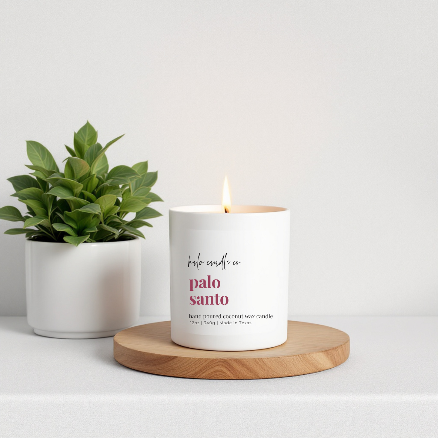 Palo Santo Candle – 12 oz | Coconut Wax, Earthy Wood & Smoked Resin